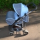 Dauphin strollers: features and popular models