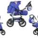 Emily strollers: characteristics and advice for choosing