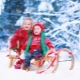 How to choose a sleigh for twins?