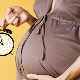 What week of pregnancy is maternity leave and what does it depend on?