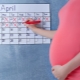 How to count the weeks of pregnancy and why the calculation may be different?