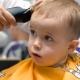 Baby's first haircut: is it possible to cut hair up to a year?