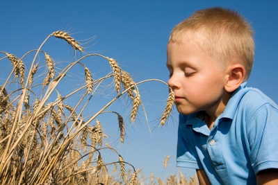 Gluten is not dangerous for everyone.