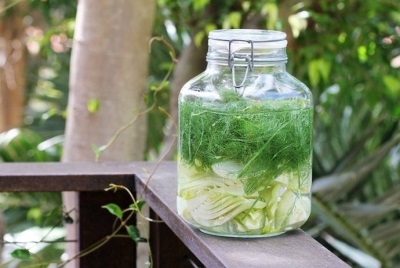 Fresh dill fennel