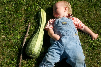 Putting squash in the diet