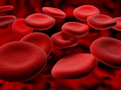 Red blood cells