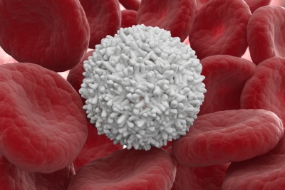 White blood cells