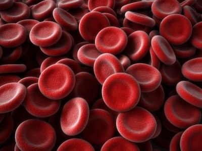 Red blood cells