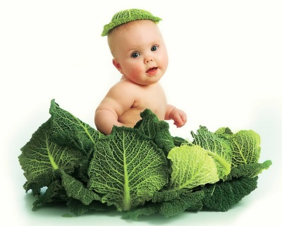 Cabbage for a child