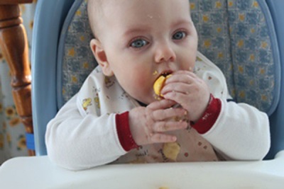 Baby eating yolk