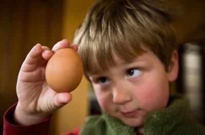 Baby looking at egg