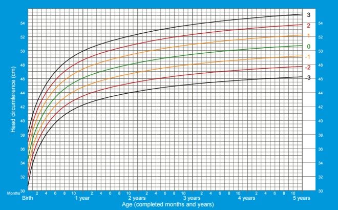 Head circumference boys from birth to 5 years who