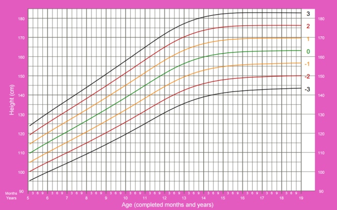 The growth of girls from 5 to 19 years according to who